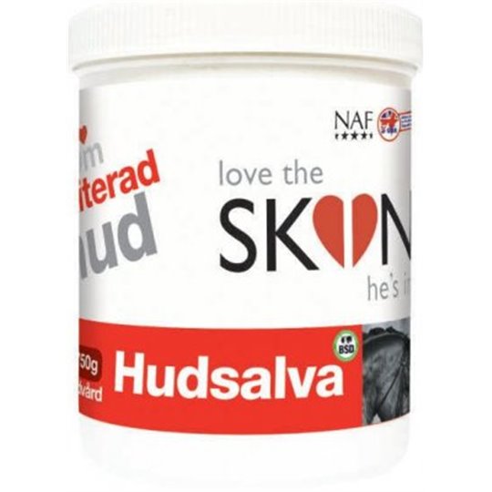 NAF LTSHI Hudsalva (Salva 750g)