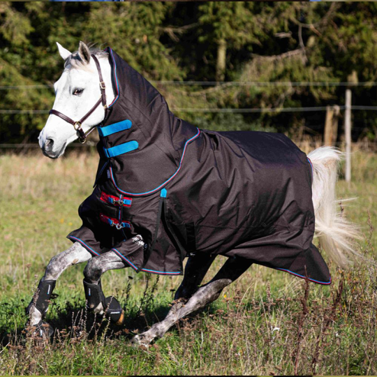 Shires HIGHLANDER 300G SET: TÄCKE + HALS, BLACK