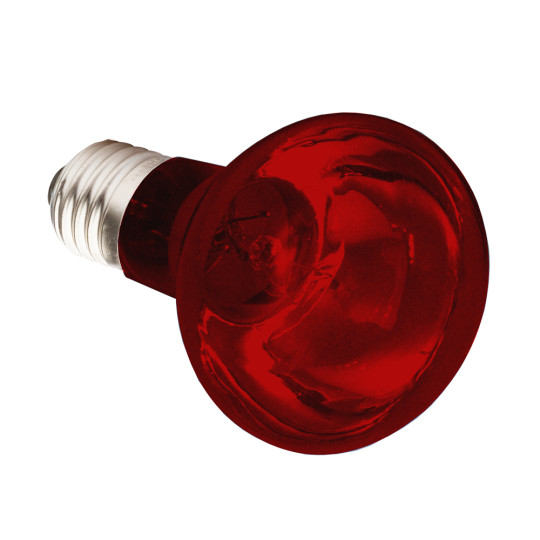 Infrared Spot Bulb - 50 W