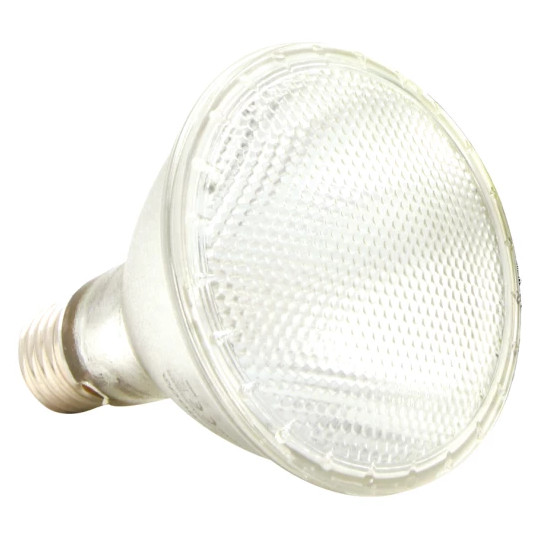 Halogen Spot Bulb - 50W