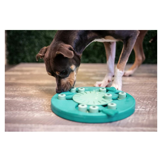 Dog Worker - Komposit