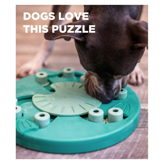 Dog Worker - Komposit