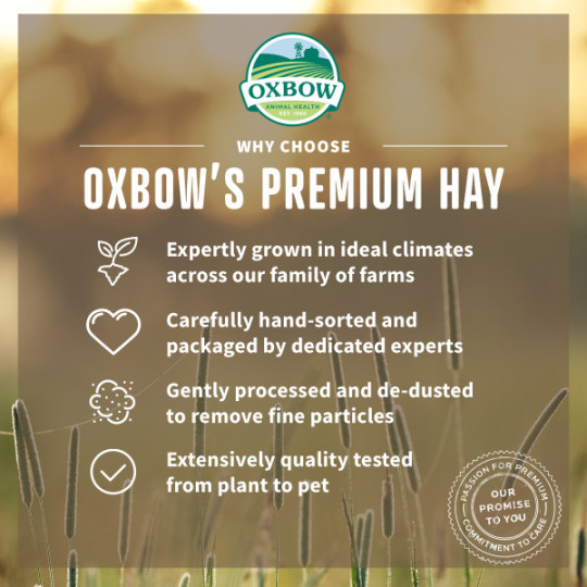 Hö orchard grass - 22.5 kg
