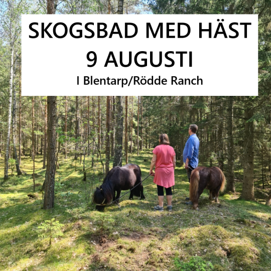 Skogsbad med Häst eller Ponny – Helande Upplevelse i Naturen den 9 augusti