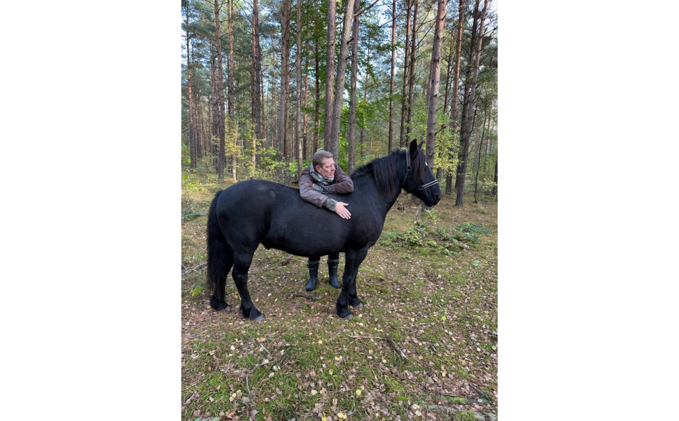 Skogsbad med ponnyer på RöddeRanch 17 maj 2025 Skogsbad med ponnyer på RöddeRanch 17 maj 2025